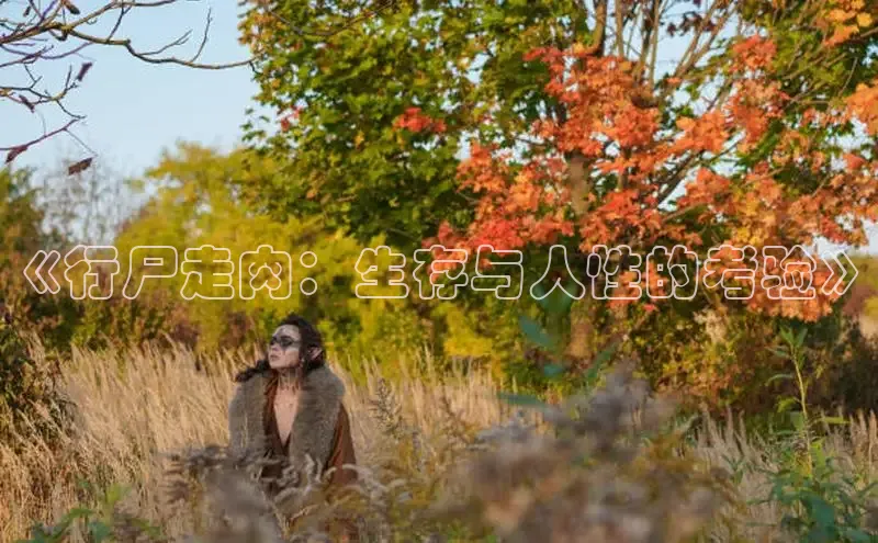 汗汗画画下拉式漫画官网